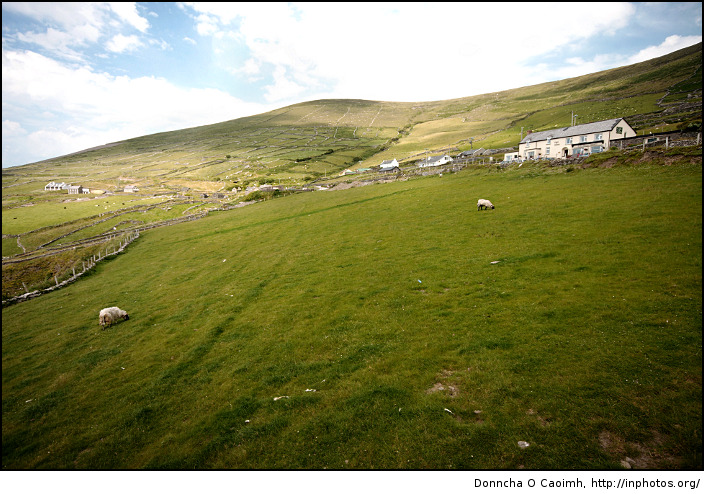 The Fields of Slea Head