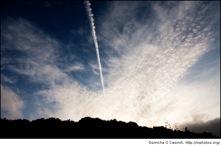 Chemtrails and Clouds and Evening Sky
