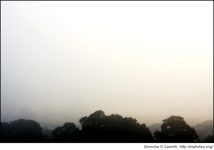 Empty Morning