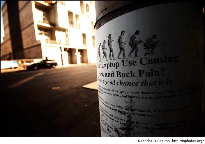 The evolution of back pain