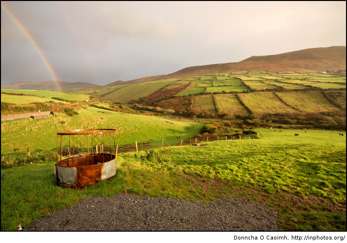 A pot of gold in the fields of Kerry