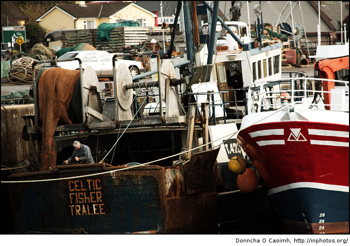CELTIC FIShER