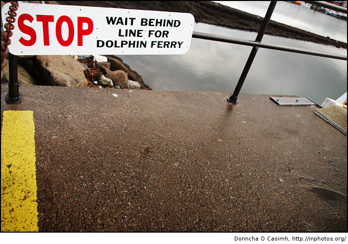 Dolphin Ferry