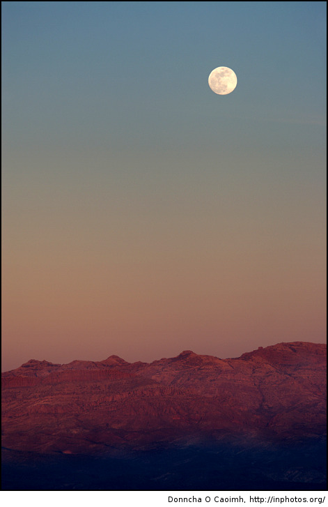 Moonlit Arizona