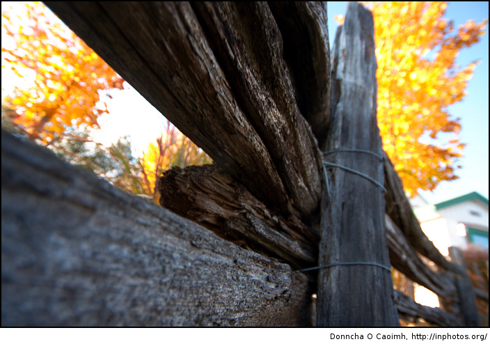Old wood and yellow