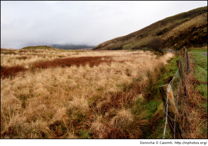 Bantry Field