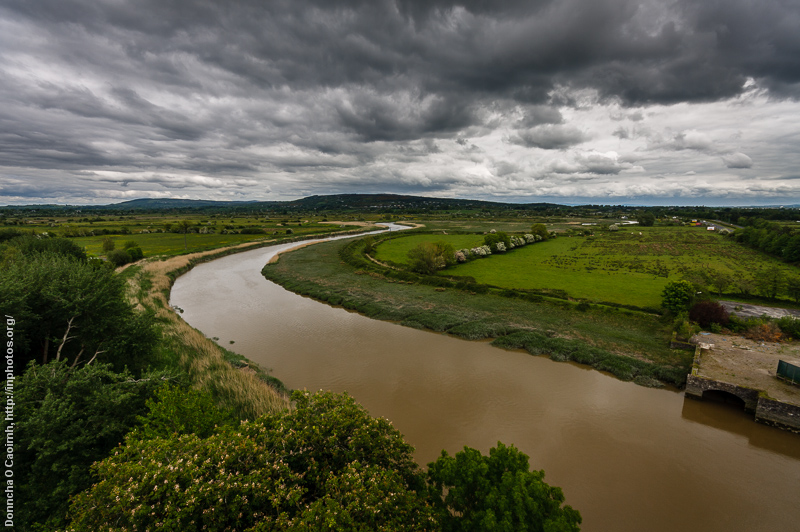 The Ratty River