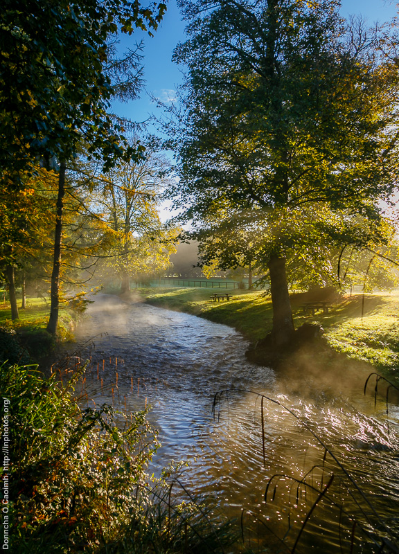 River Martin in the Morning