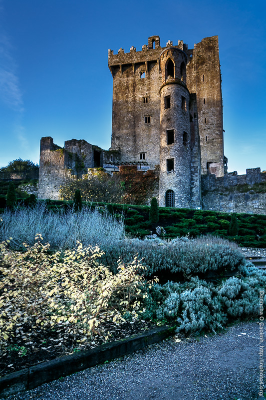 Blarney Castle in the Sun