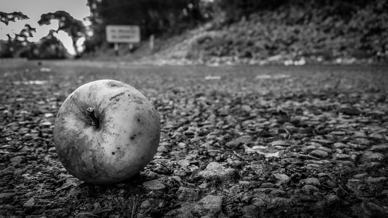 An Apple for Blarney