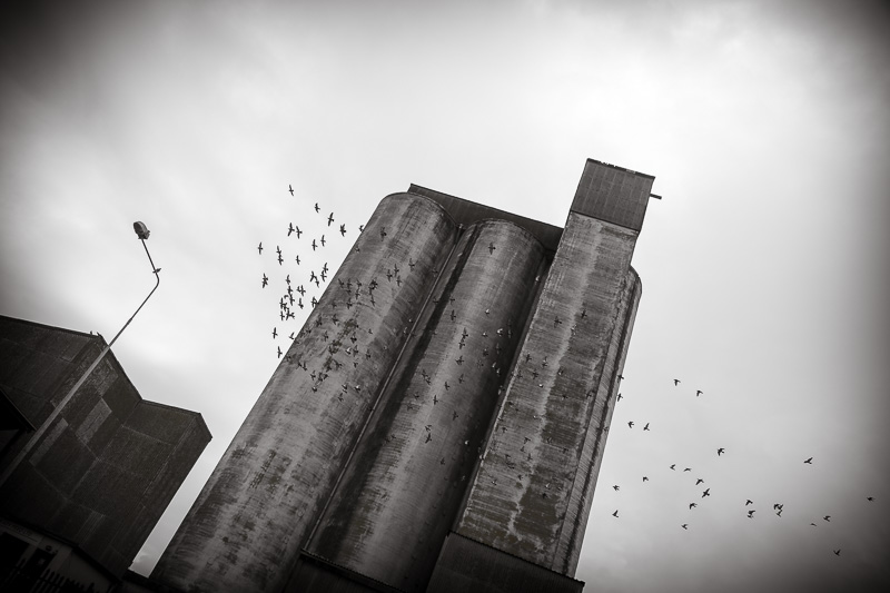 Cork Docklands Grain Silo