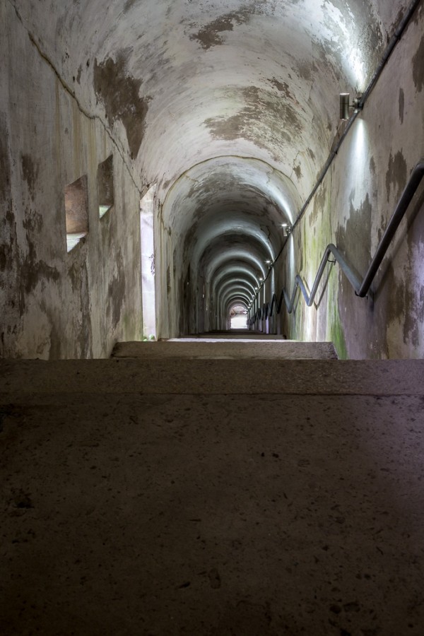 The Bright Tunnel