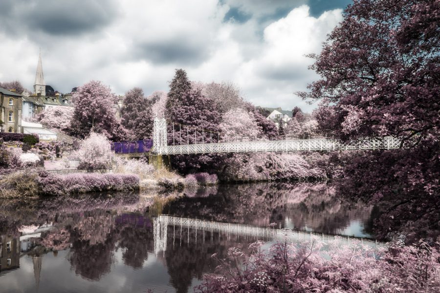 Photo by: Donncha O Caoimh (https://inphotos.org)