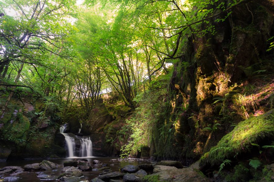 A waterfall falls into a small river surrounded by trees and vegetation and rocks.