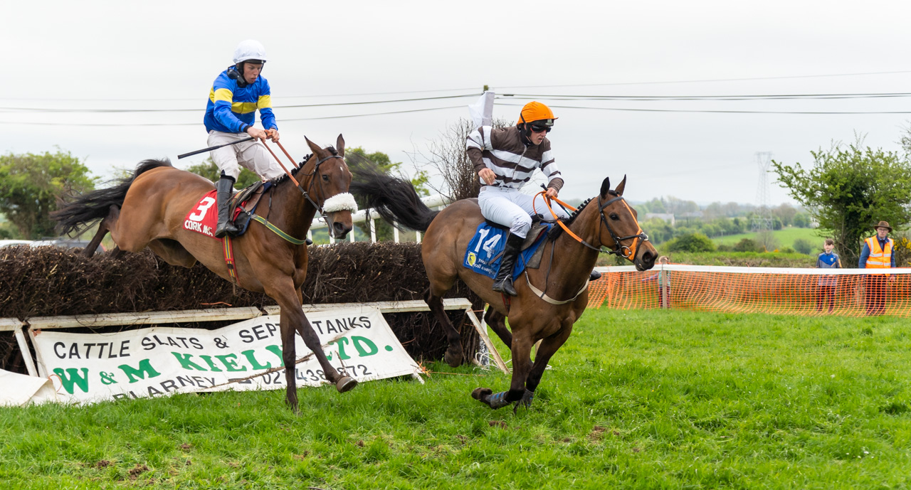 Two horses who have just jumped over a fence during a point to point race.