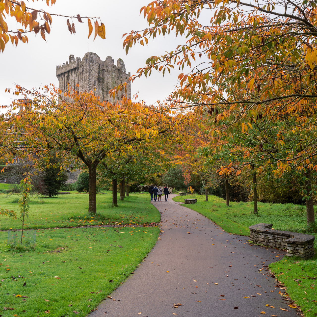 Autumn Colours in Blarney Castle Gardens