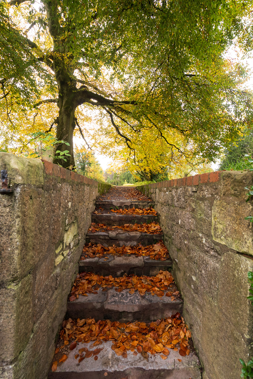 Autumn Colours in Blarney Castle Gardens