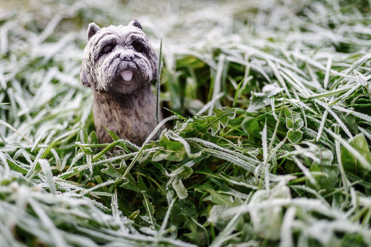 A small ceramic dog embedded in frosty grass