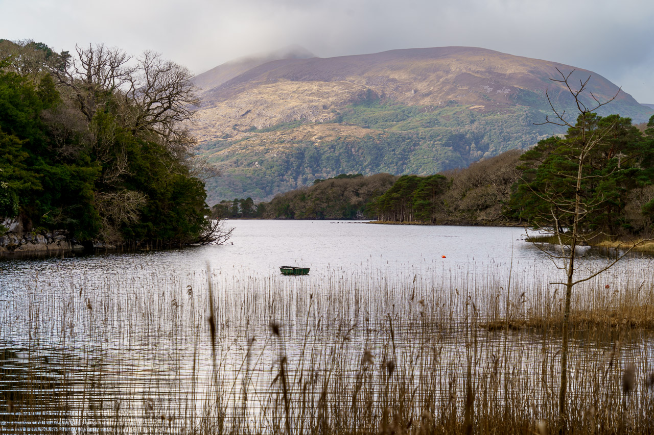 A boat on a lake. Reeds in the foreground and cloud covered hills in the background.