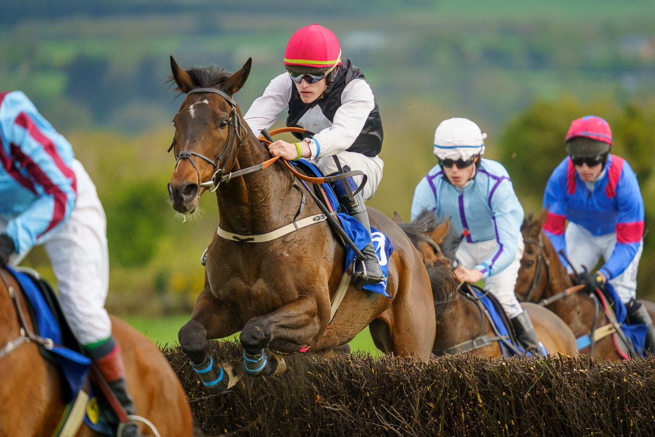 A horse and jockey jump the fence, with others before and after him