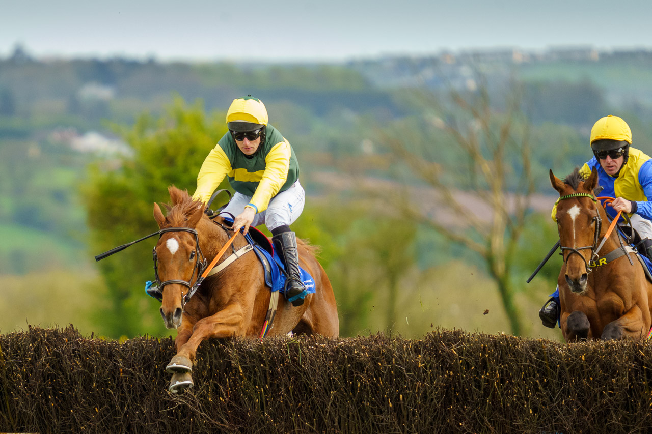 A horse and jockey jump the fence, closely followed by others