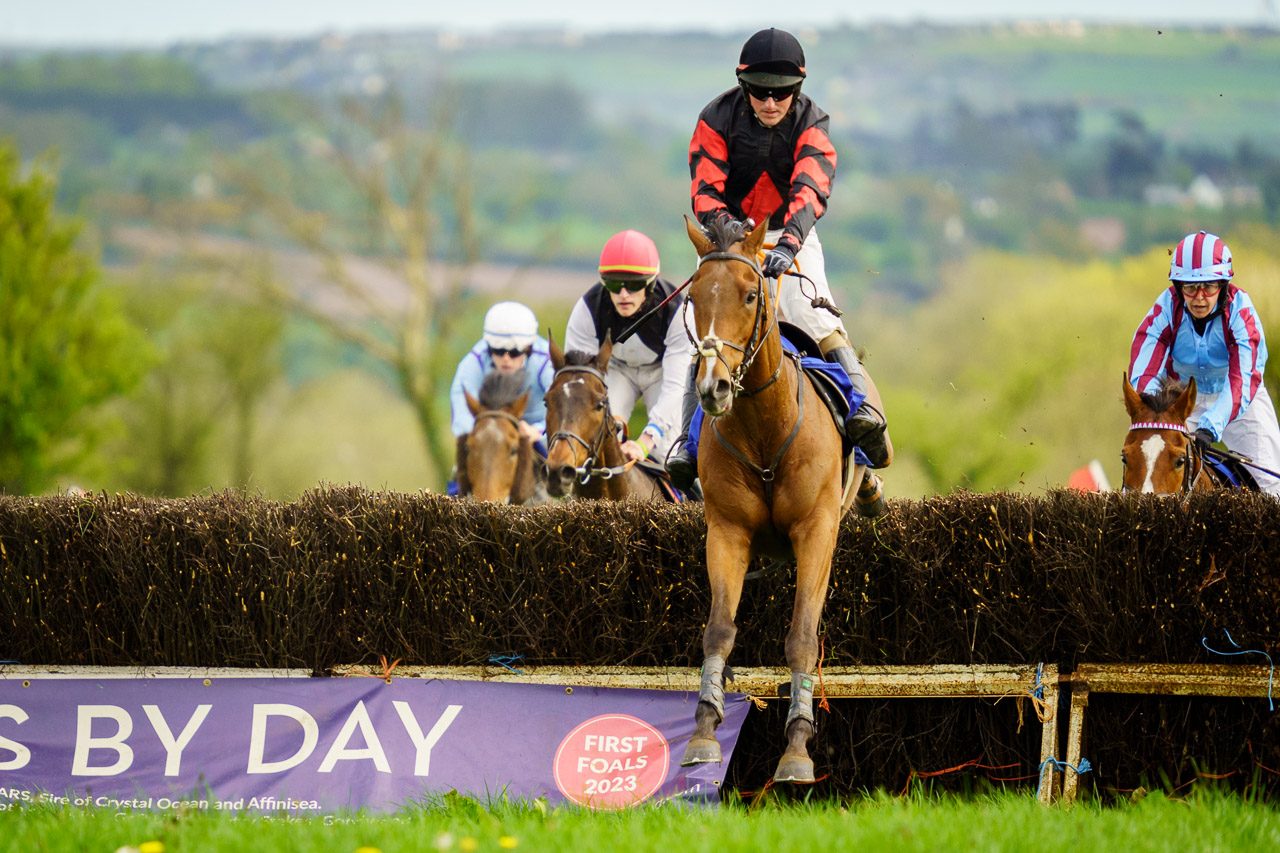 A horse and jockey jump over a fence. Others can be seen behind him.
