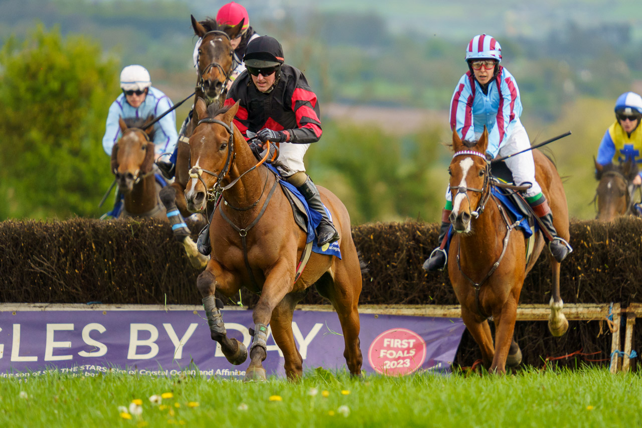 A horse and jockey race to the finish, followed closely by others.