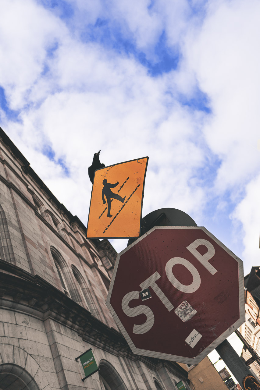 A crow, a "people walking" sign and a STOP sign pictured against a blue cloudy sky next to the GPO in Cork.