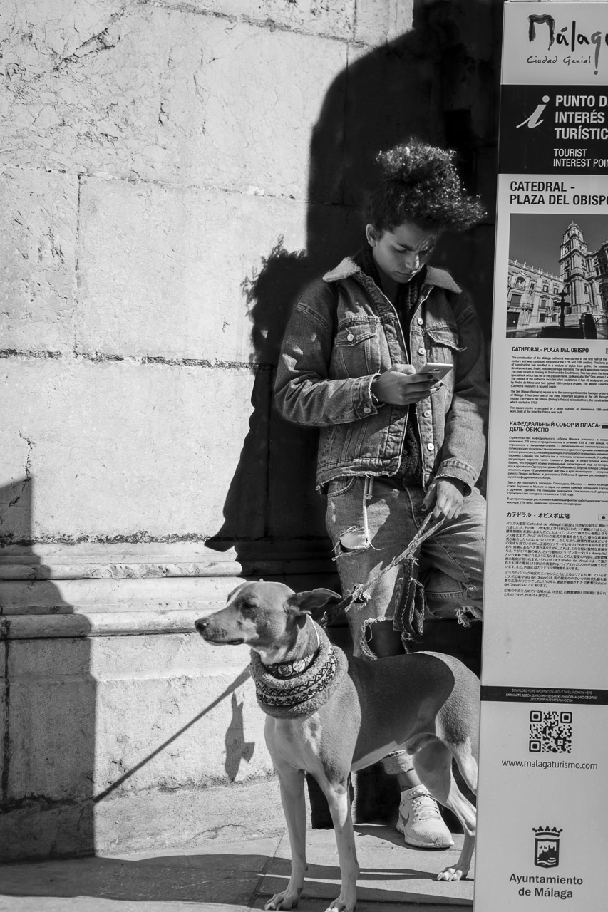A woman leans against a wall checking her phone while holding on to her dog's lead. Her dog looks off to the left.
A sign stands in front of them advertising the cathedral in Malaga.