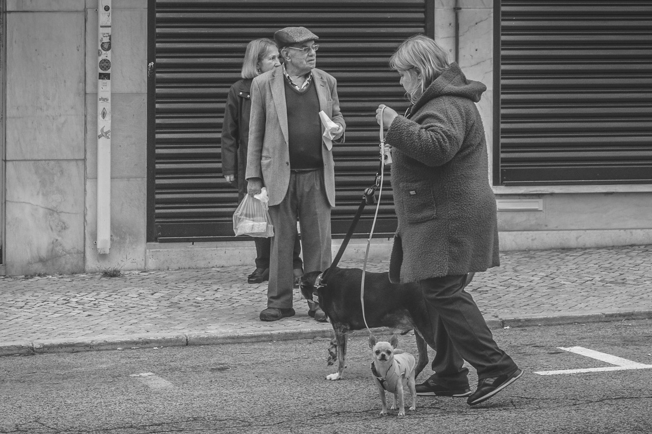A black and white scene of three people. One person is holding two dogs, one of whom, a chihuahua, is staring directly at the camera. Two other people can be seen standing nearby with no visible pet.

The setting appears to be in front of some buildings or an urban environment.