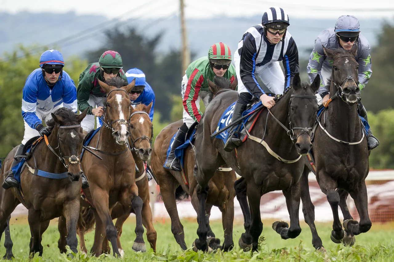 Horses and jockeys race to the finish lineat the Dawstown Point to Point.