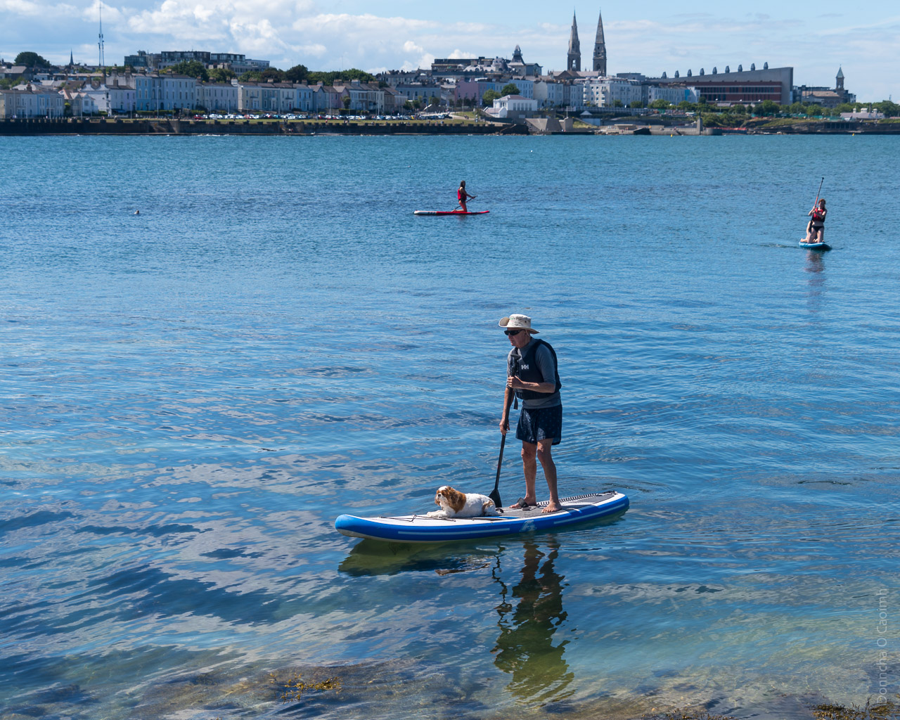 A man paddle boarding in water with his dog on the board too. Two other people in the background are paddle boarding. The seafront of Dún Laoghaire is visible int he background.