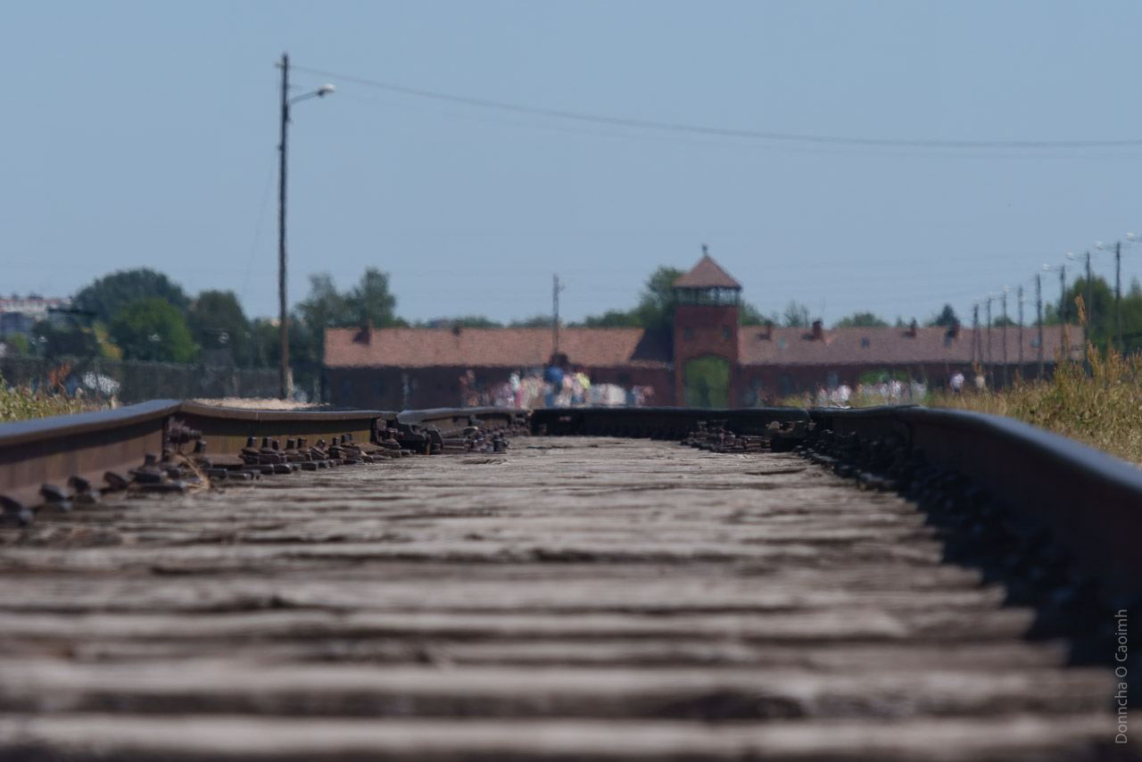 A low down shot of the train tracks at Birkenau