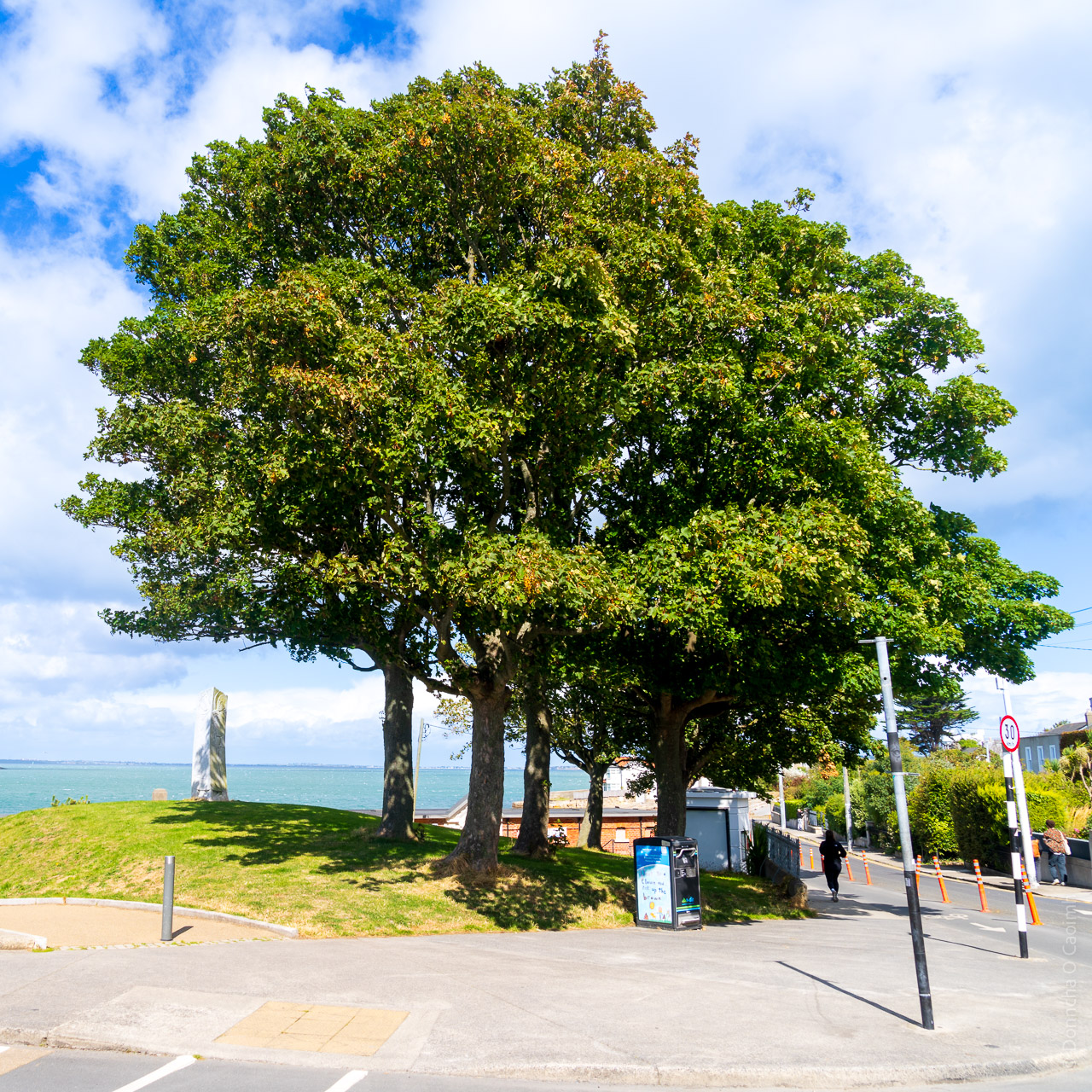 Trees provide shade from the bright sun, next to a religious statue on a small grassy hill.