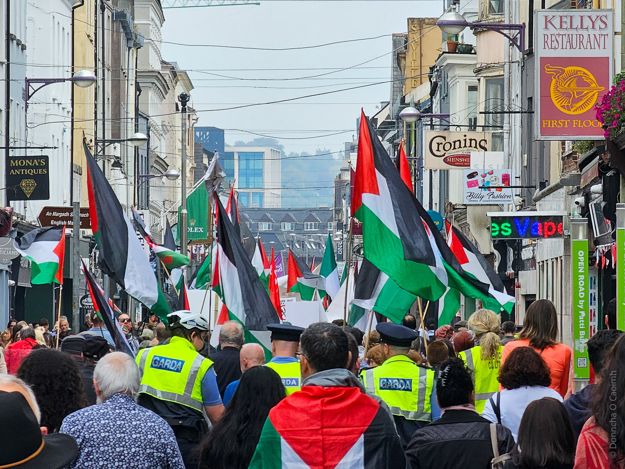 People carrying the flag of Palestine along the street in a rally in support of Gaza.