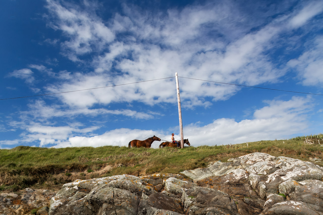 A rider on a horse pulling another horse along behind him. Pictured from below with rocks and grass visible in the foreground, and a pole carrying wires. In the background is a blue sky with light clouds.