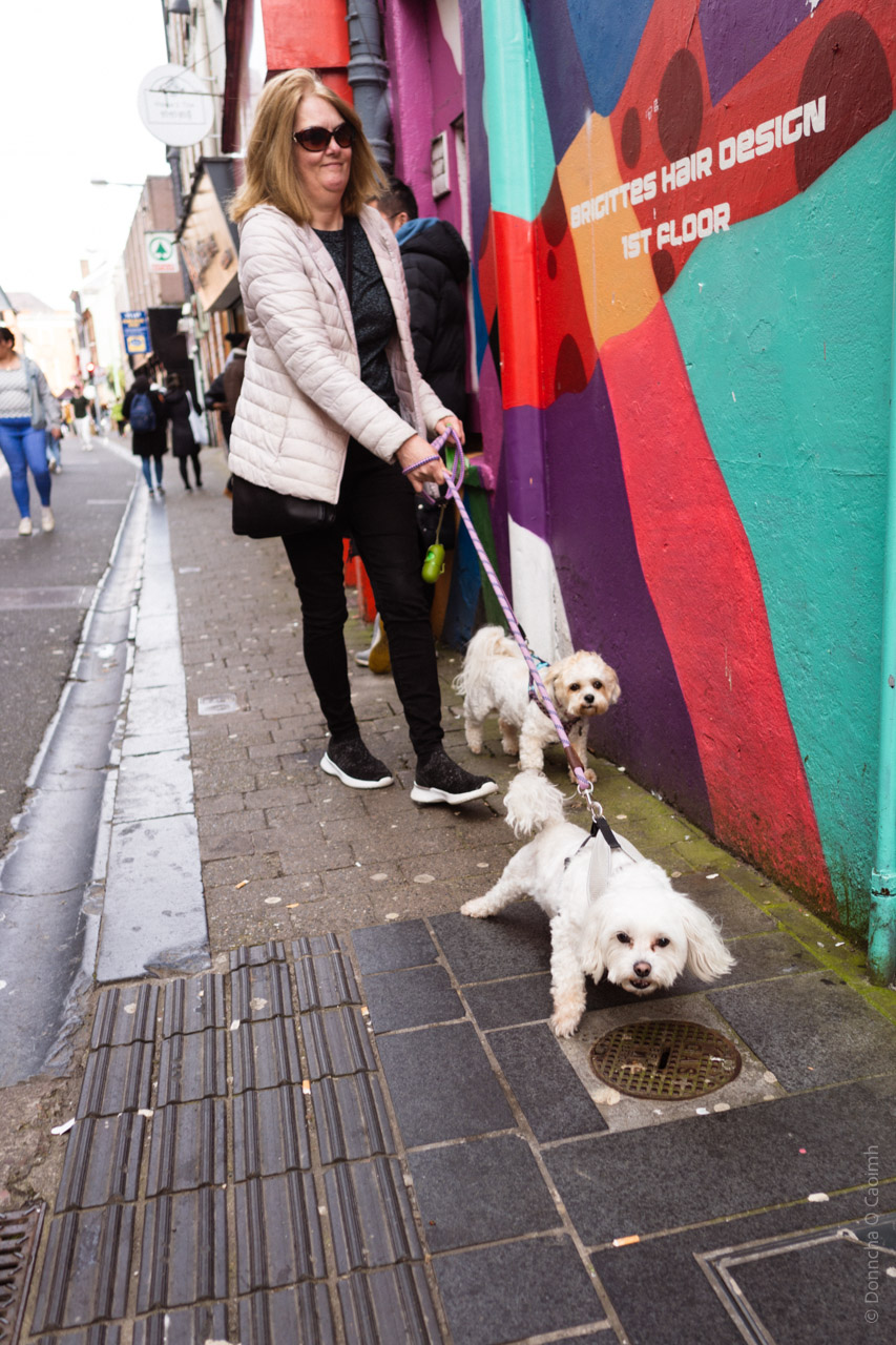 The image shows a person walking three small white dogs on a city street. They are standing in front of a colorful mural wall with vibrant reds, purples, and turquoise colors, with text indicating "Brigittes Hair Design 1st Floor." The person is wearing a light beige puffy jacket, black pants, and sunglasses, with casual athletic shoes. The three small white dogs appear to be of a similar breed, possibly Maltese or Bichon Frise, and are on leashes. The setting appears to be an urban area with paved sidewalks and pedestrians visible in the background. The photo captures a casual, everyday moment of dog walking against the backdrop of urban street art.