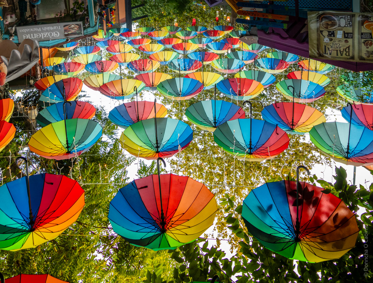 An upside-down photograph of colourful umbrellas suspended by cables in a cafe/museum. Trees visible in the background, and the sky of course.