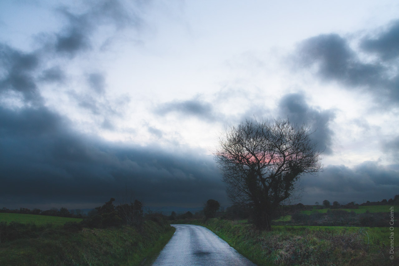 A moody rural landscape featuring a wet, winding country road leading into the distance. A bare, silhouetted tree stands prominently against dramatic dark storm clouds. A faint pink sunset glow peeks through the clouds behind the tree. Green fields flank the road, and the overall atmosphere is sombre and atmospheric, with muted blue-grey tones dominating the scene.