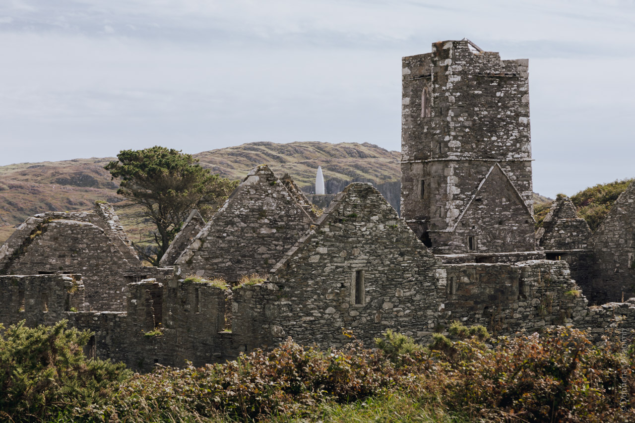 A ruined medieval stone friary with multiple peaked gable walls and a prominent square tower stands against a cloudy sky. The structure is built from weathered grey stone, showing clear signs of age and decay. In the background, rolling hills rise up, and the distinctive white Baltimore Beacon can be glimpsed between the ruins. The friary's remains include several adjoining buildings with preserved window openings and doorways. Vegetation, including bushes and small trees, grows around and within the ruins, adding to its atmospheric appearance. The scene captures the wild, historic character of Ireland's coastal landscape.