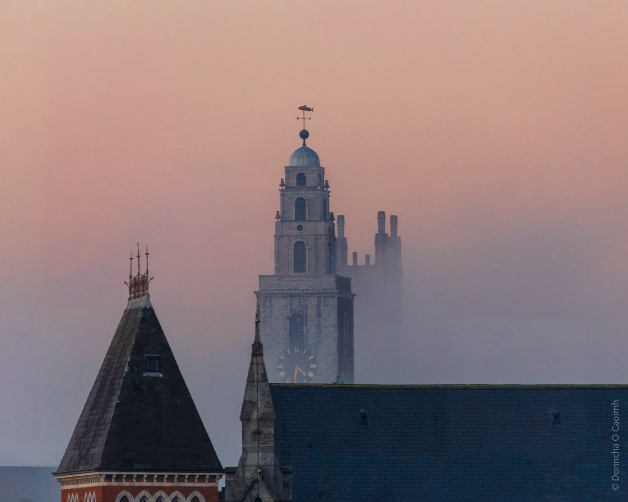 A misty, atmospheric photograph of historic Cork church spires and towers captured during sunset or sunrise, creating a pink and purple hazy sky. In the foreground, a distinctive triangular black spire with ornate crown detailing sits atop a red brick building. Behind it rises the prominent white tower of Shandon Bells, featuring its iconic clock face and topped with a fish weathervane. The tower emerges dramatically through the mist, its limestone structure standing in stark contrast against the pastel sky. The architectural elements combine Gothic and Baroque styles, with the scene capturing the religious heritage of Cork's skyline in ethereal lighting conditions.