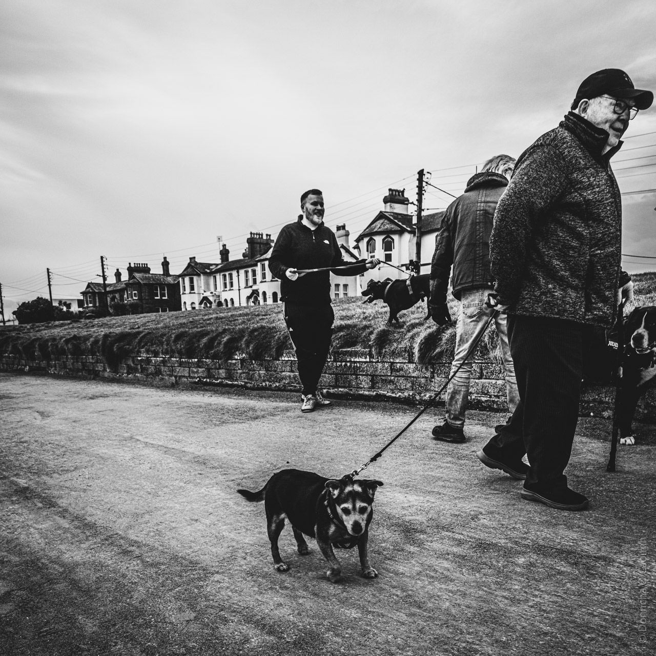 A black and white photograph shows three people walking dogs along a path.

