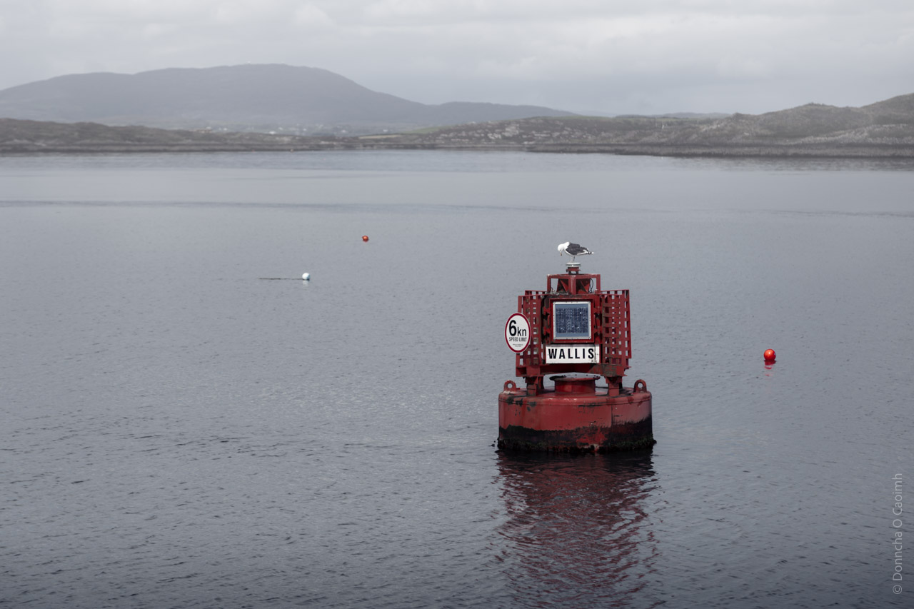 A red buoy floating in calm waters with a seagull perched on top, displaying a solar panel and the text "WALLIS" alongside a circular sign indicating "6 km speed limit." The background features distant hills under a cloudy sky.
