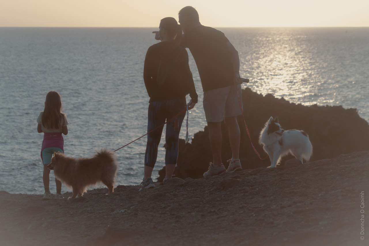 A silhouetted family scene at sunset on a rocky coastline in Tenerife, with two adults, a child, and two dogs gazing out at the shimmering sea under a soft golden sky.