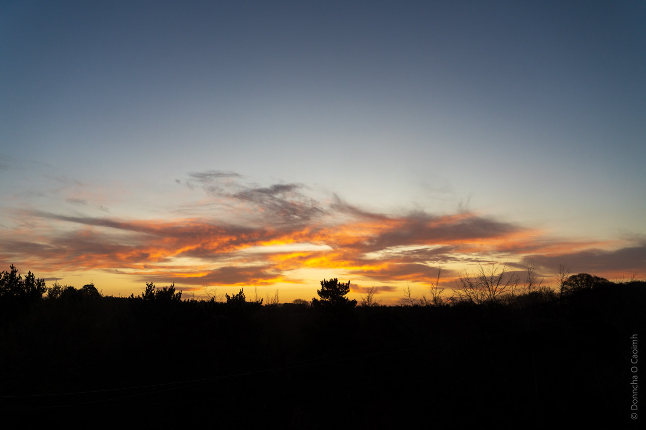 A vibrant sunset with orange and yellow hues blending into a clear blue sky, silhouetting trees and shrubs in the foreground. The image captures the serene beauty of nature during twilight.