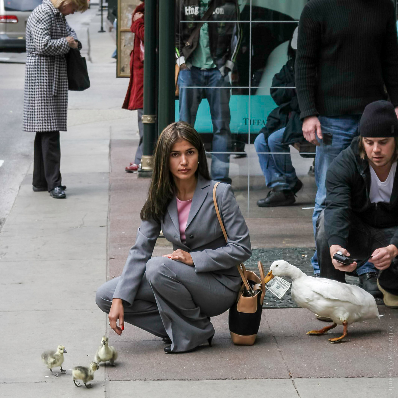 A street scene in Chicago, 2005, showing a woman in a grey suit crouching on the pavement near three ducklings, while a white duck pulls a dollar bill from her handbag. Several people are in the background, including a man crouching with a light meter and another standing, with city life unfolding around them.