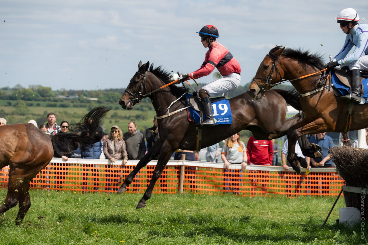 Action photo of a horse race at Dawstown Point to Point in County Cork, showing two jockeys in red and blue silks and white and blue silks riding horses mid-jump over a brush fence, with spectators and orange safety fencing in the background, and another horse visible in the foreground.