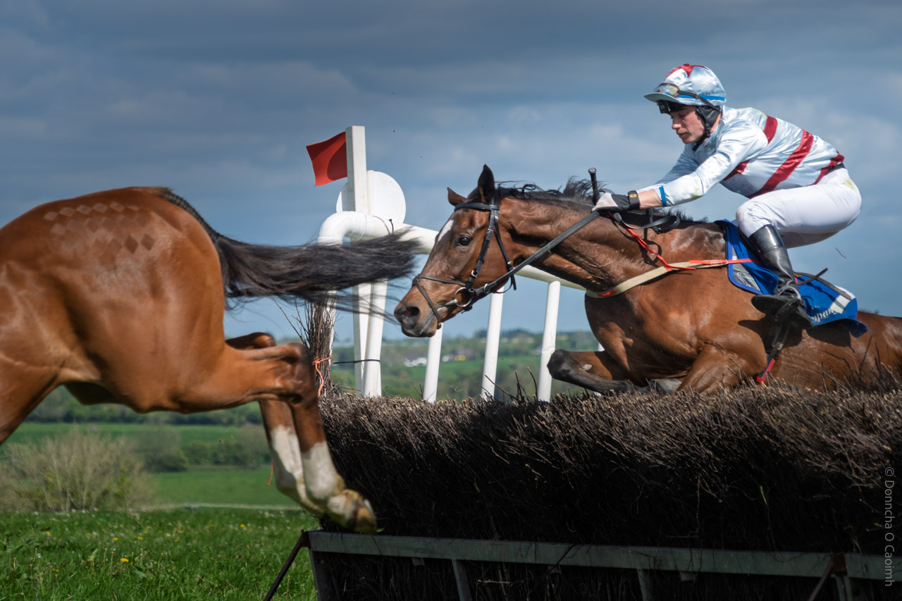 Close-up action shot from Dawstown Point to Point in County Cork, featuring a jockey in silver and red silks riding a horse over a brush fence, with another horse in the foreground and red race flags and green hills in the background.
