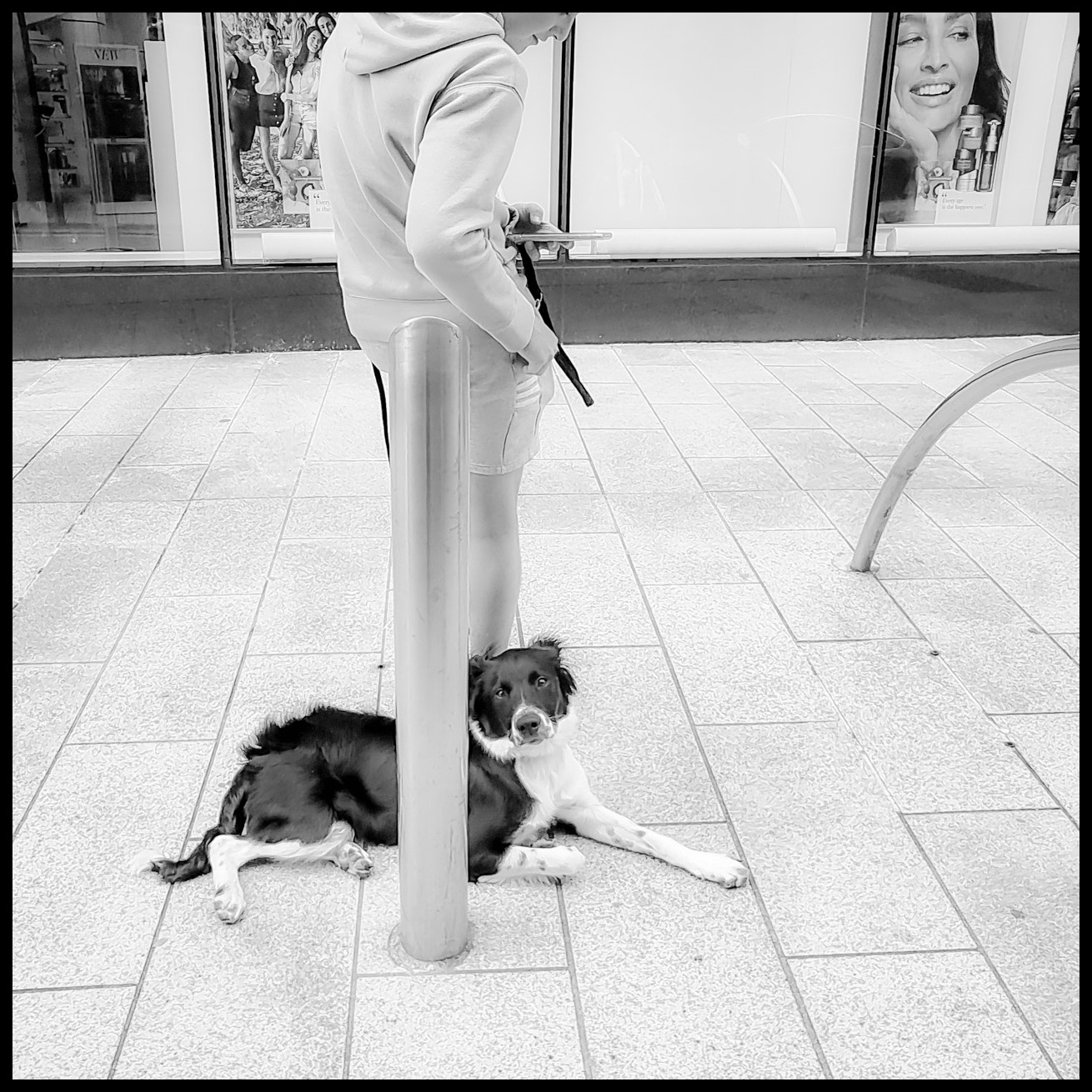 Black and white photograph of a Border Collie lying on paved ground next to a metal bollard, with its owner in a light hoodie holding the lead, outside shop windows in Cork.