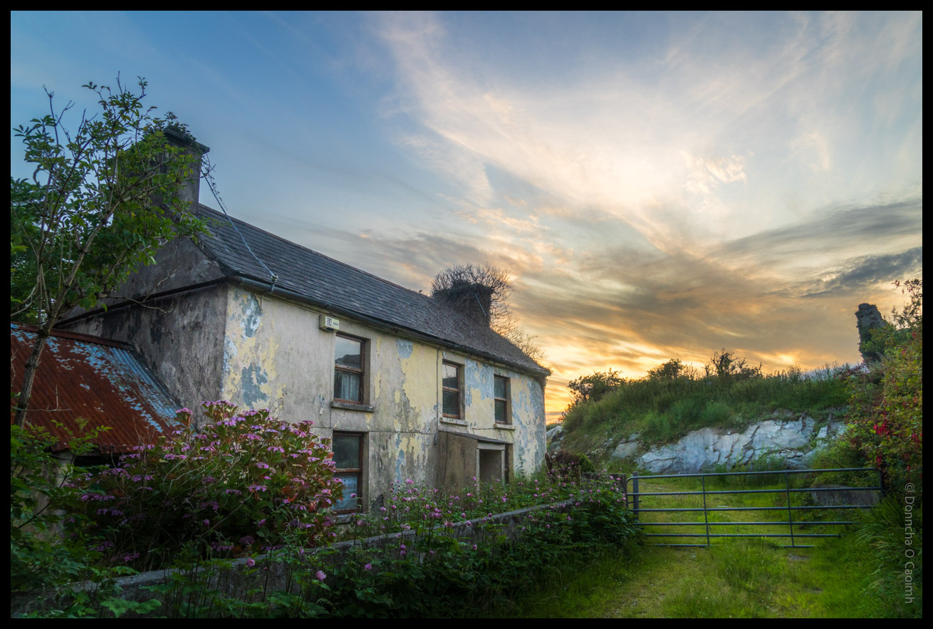 Abandoned home with peeling paint and slate roof surrounded by wild purple flowers and overgrown vegetation against a dramatic sunset sky on the Sheep's Head Peninsula, County Cork.